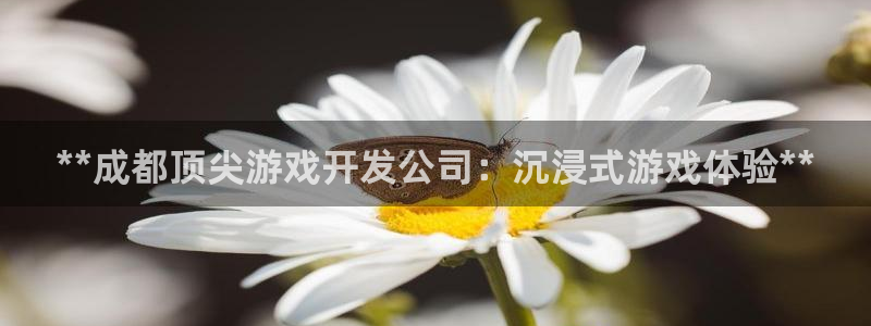 沐鸣娱乐2登录：**成都顶尖游戏开发公司：沉浸式游戏体验**